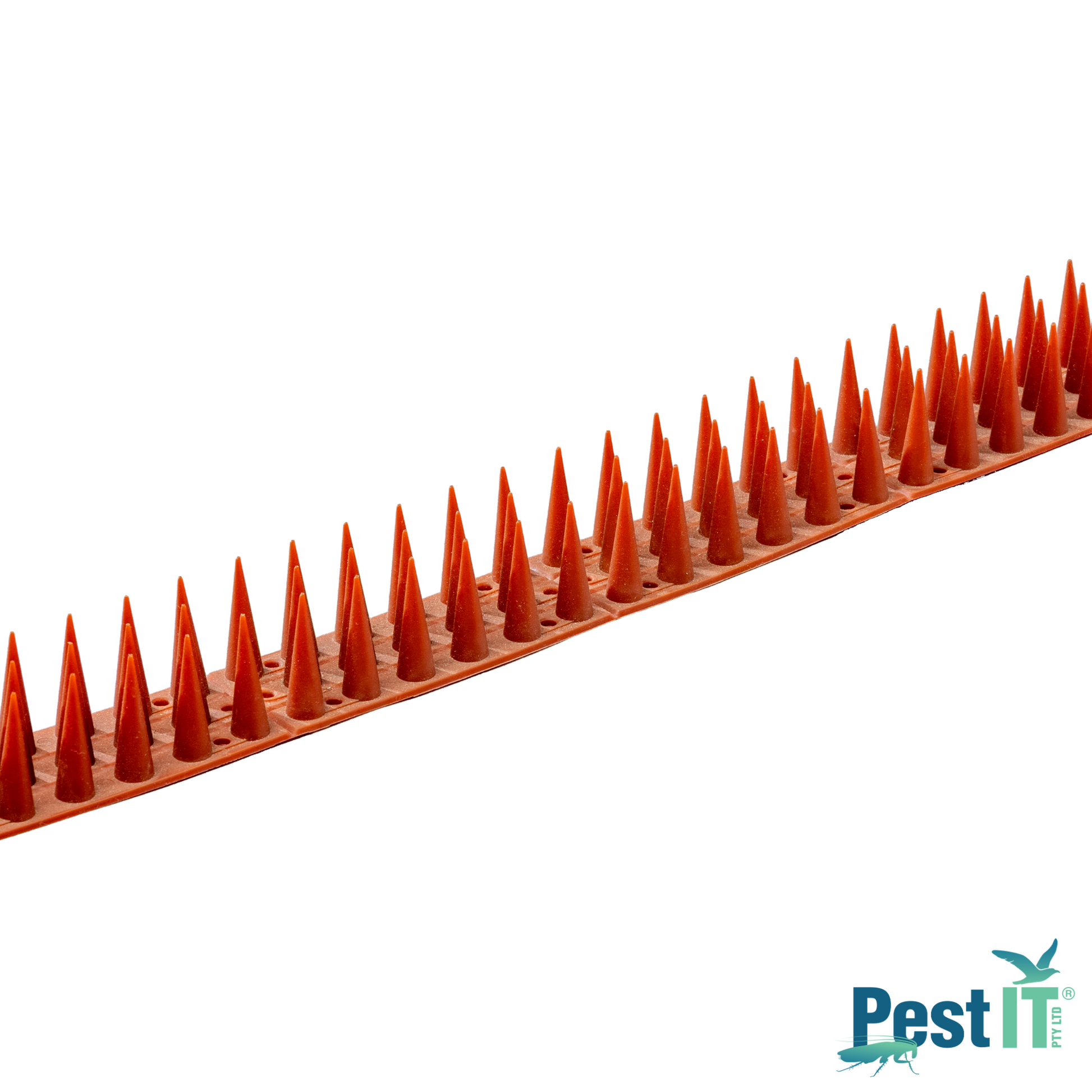 Avepro Possum Spikes Template Logo In Bottom Right Corner