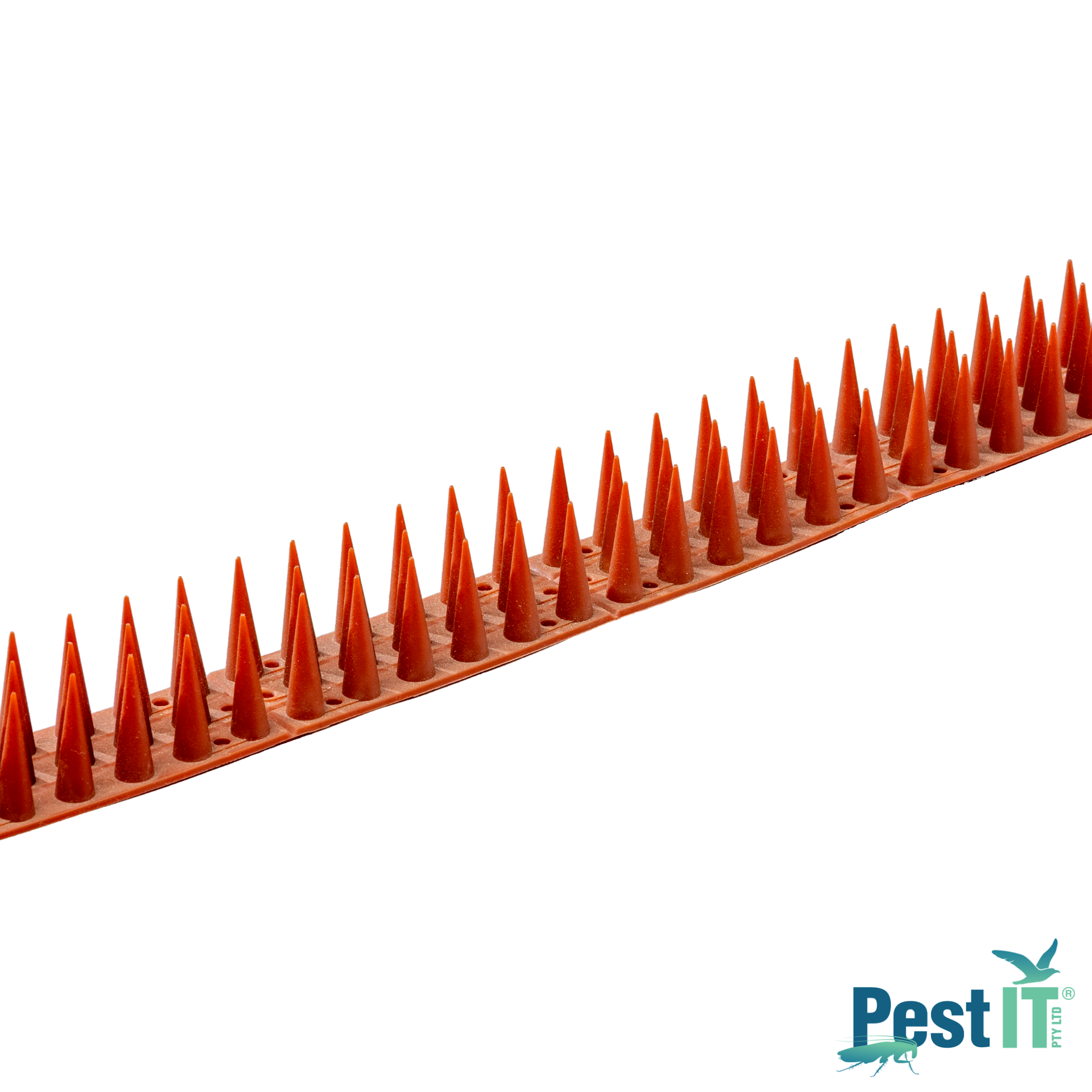 Avepro Possum Spikes Template Logo In Bottom Right Corner