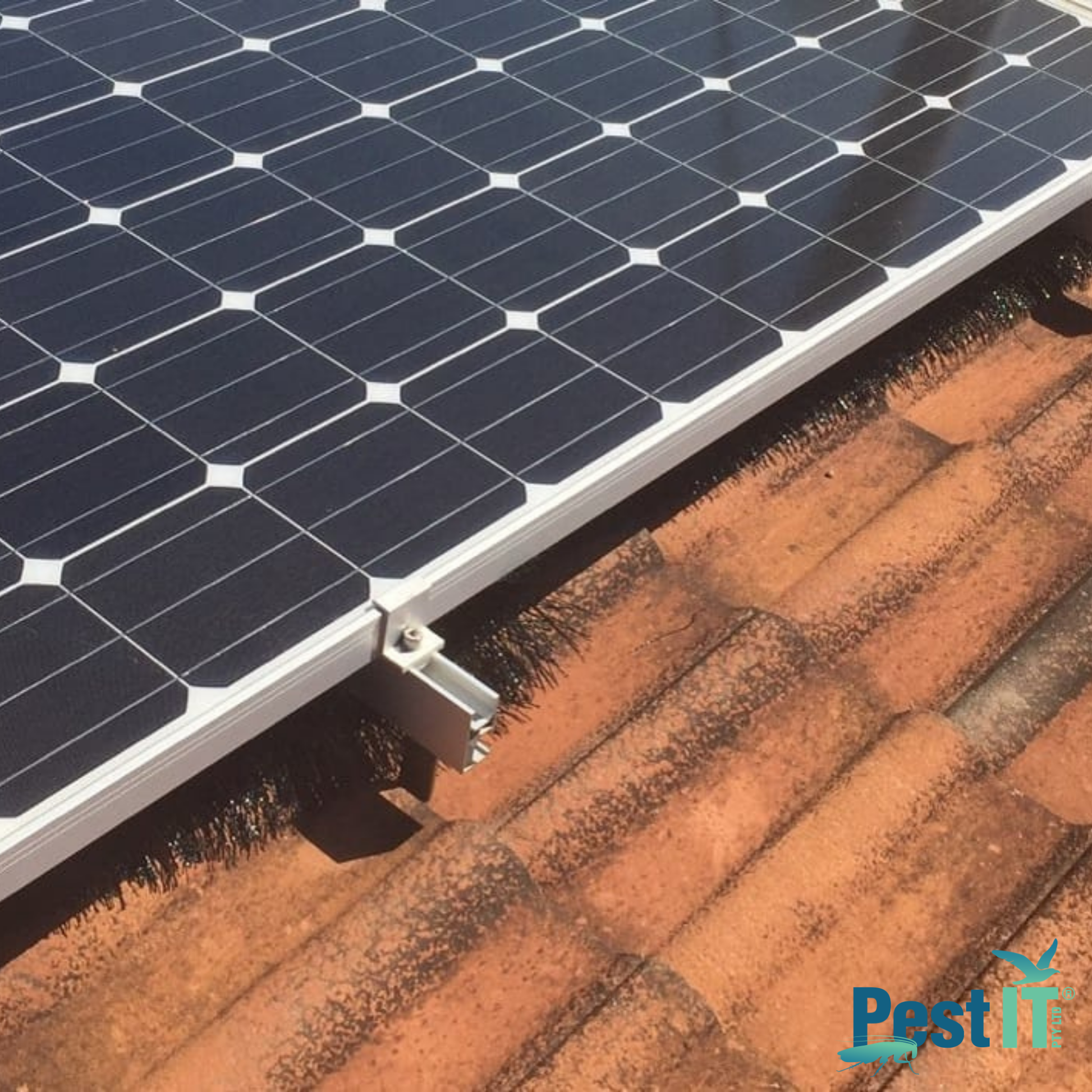 Avepro Solar Panel Brush 2