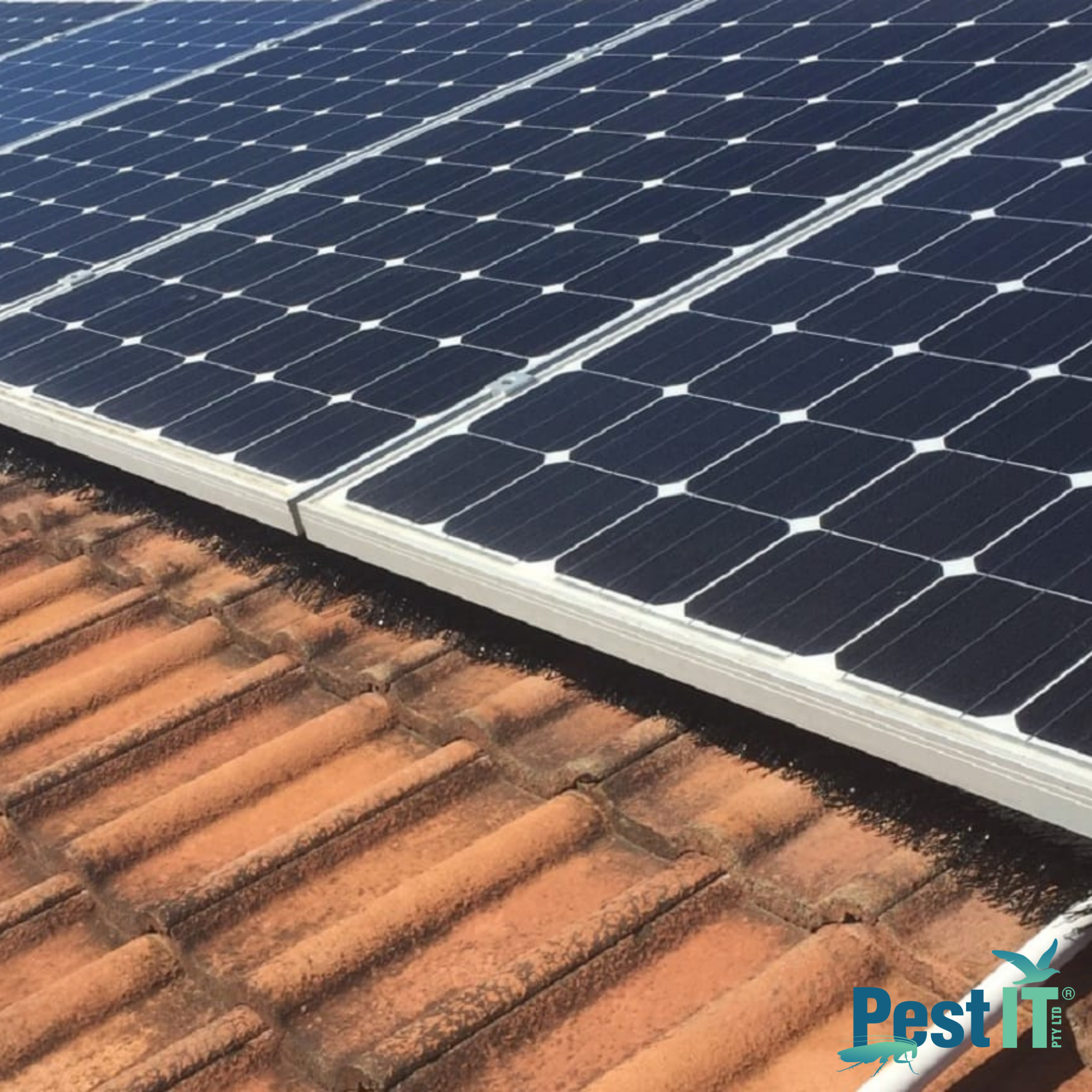 Avepro Solar Panel Brush