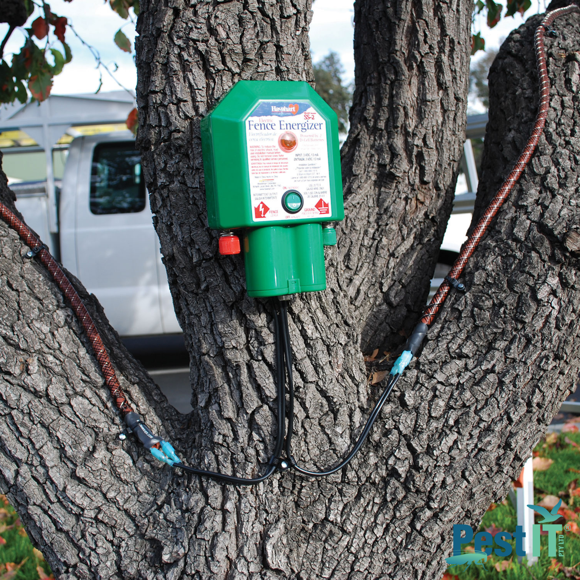 Avepro Tree Shock Electrified Deterrent In Use On Tree