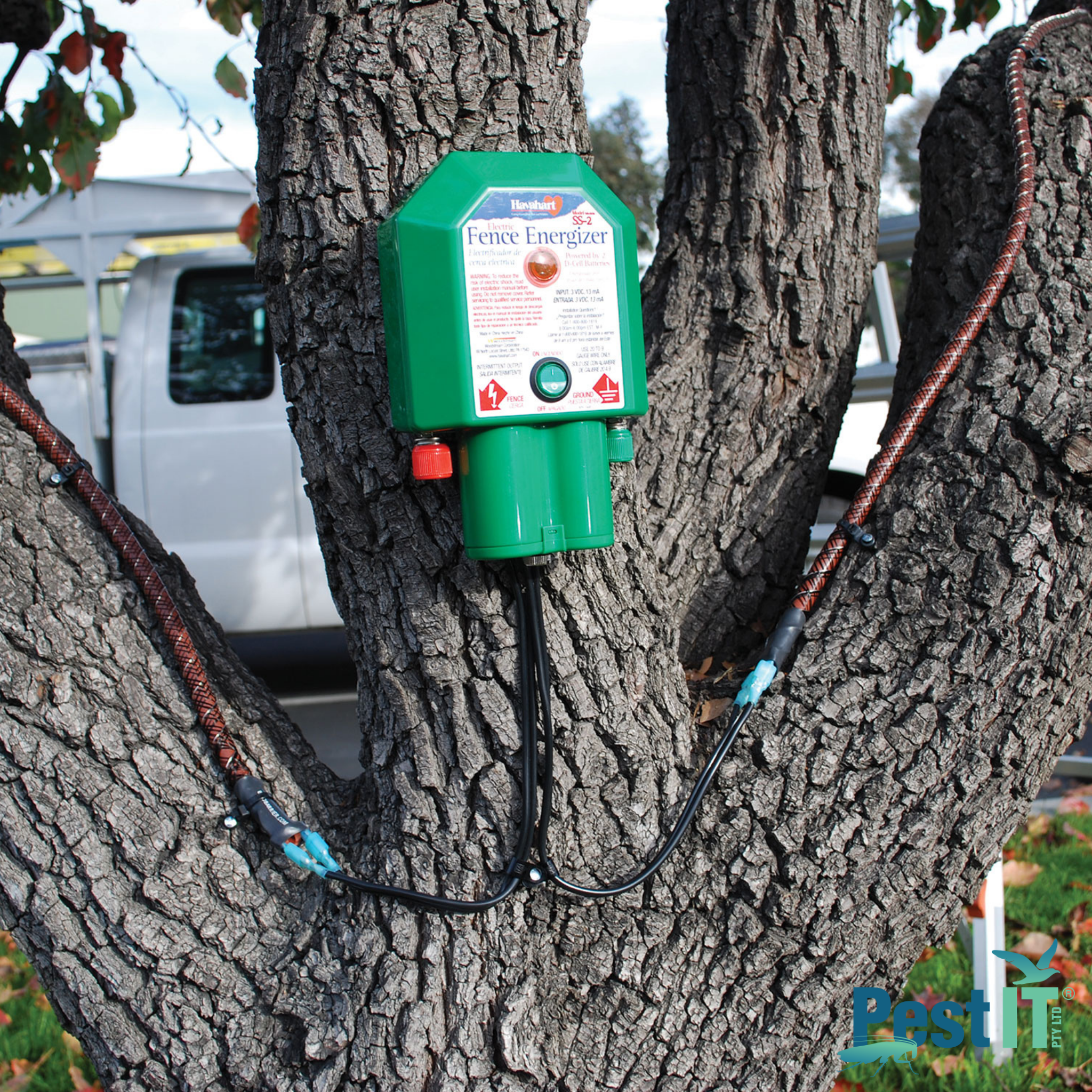 Avepro Tree Shock Electrified Deterrent In Use On Tree