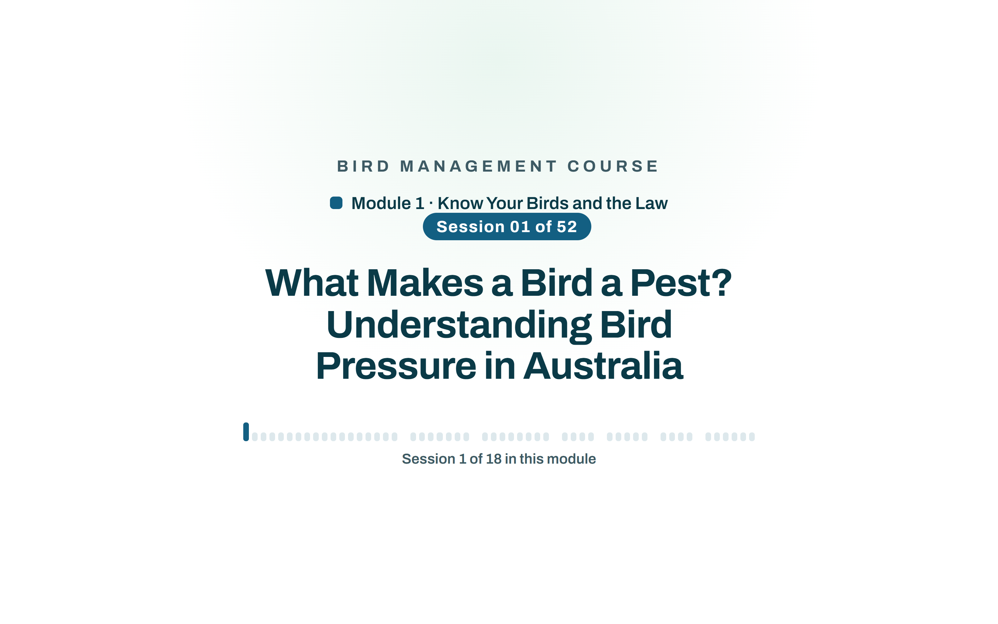 Bird Management Course, module 1: lesson 01, What Makes a Bird a Pest? Understanding Bird Pressure in Australia