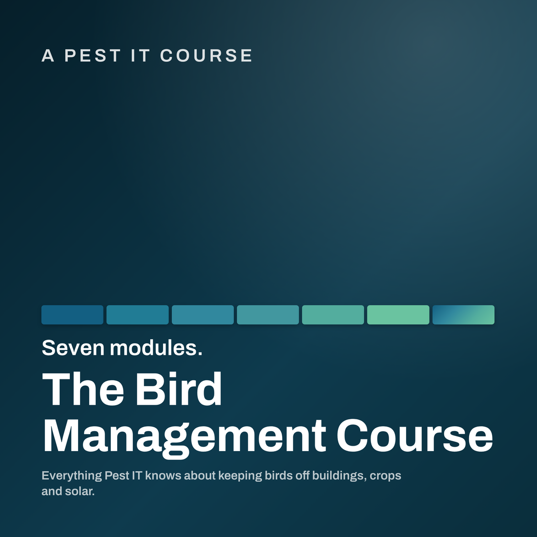 Pest IT Pty Ltd