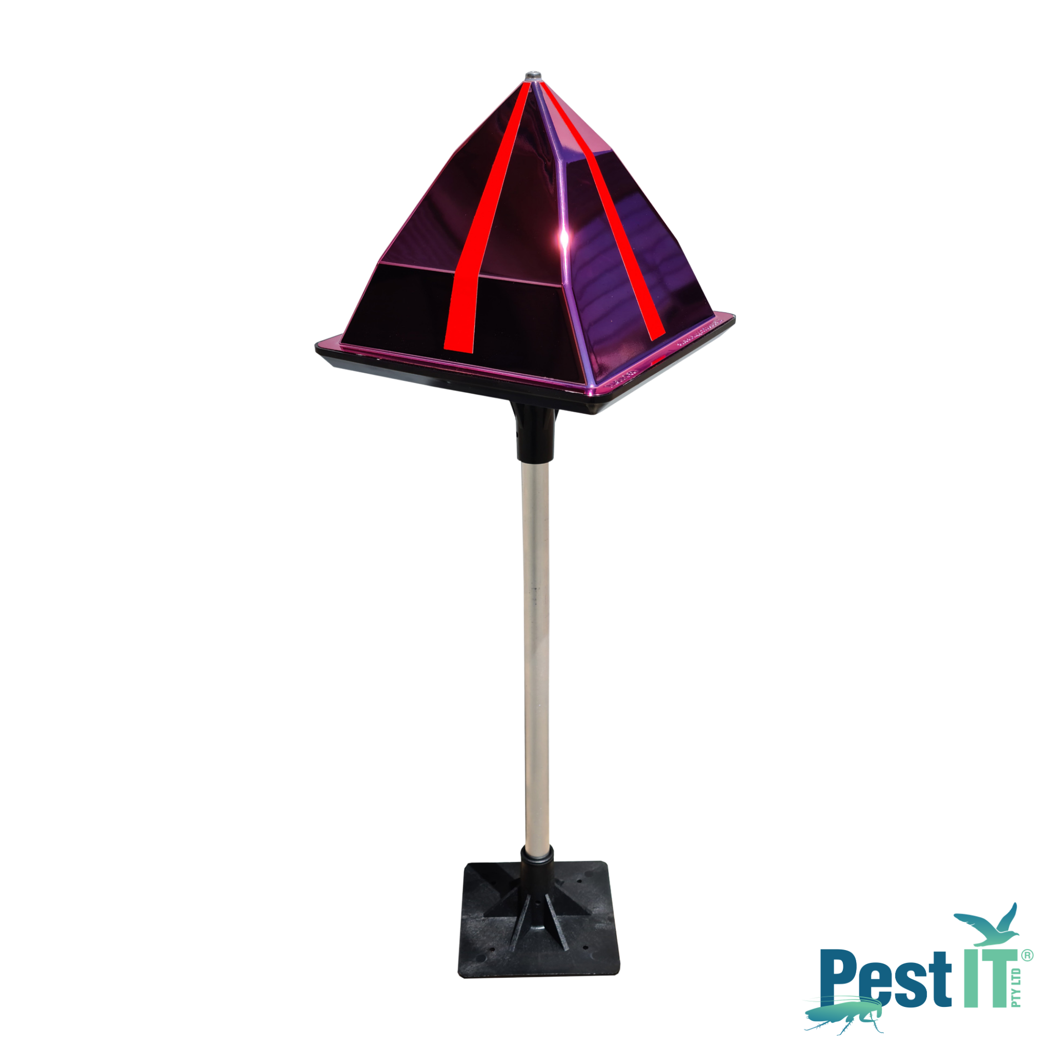 Eagle Eye RED Marine Birds