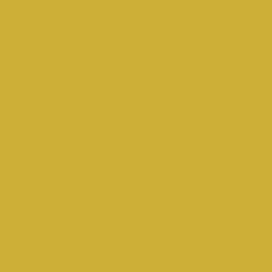 Gold Supporter Pack: $150