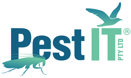 Pest IT Logo Landscape BG Transparent