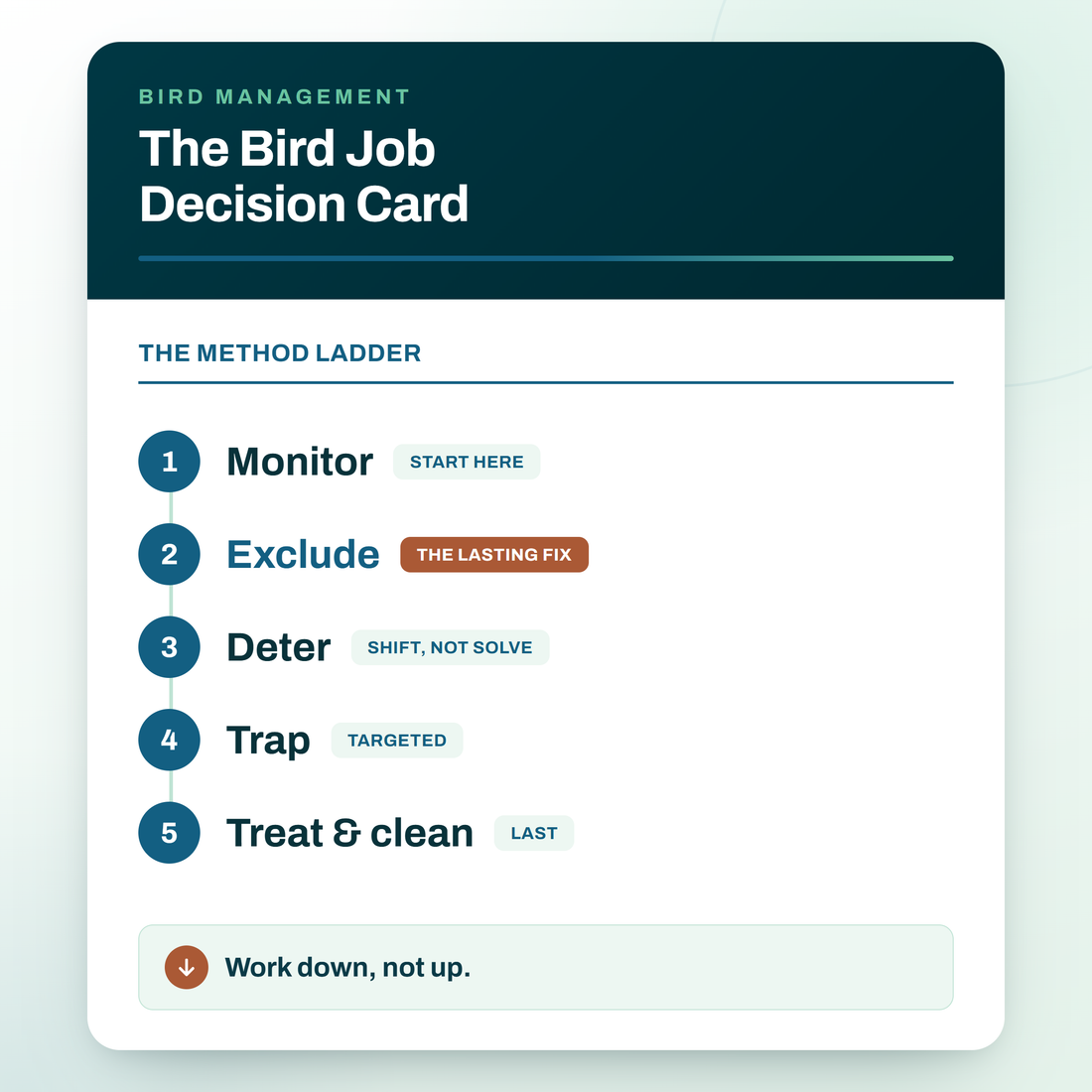 Bird Job Decision Card