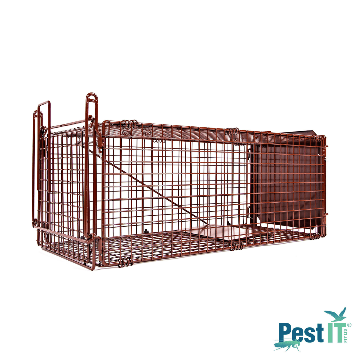 The Possum & Cat Magnet Trap