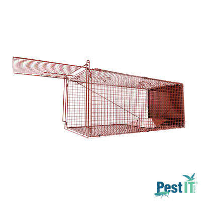 The Fox Magnet Trap