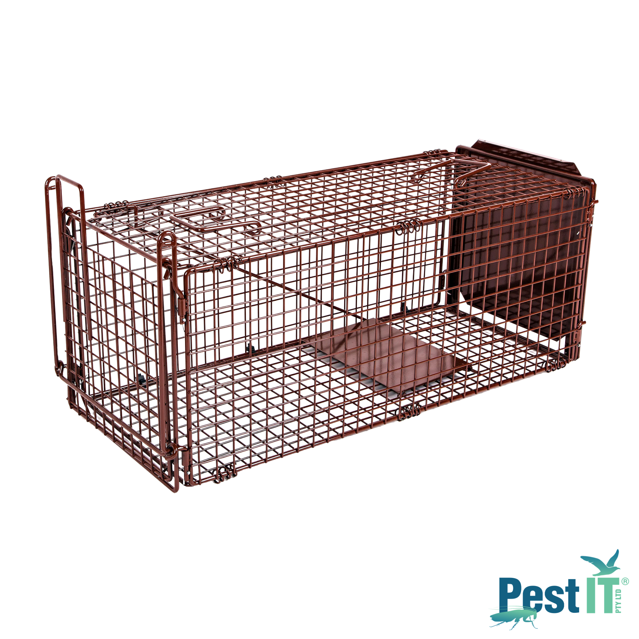 The Possum Cat Magnet Trap The Cat Magnet Trap Hero