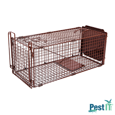 The Possum & Cat Magnet Trap