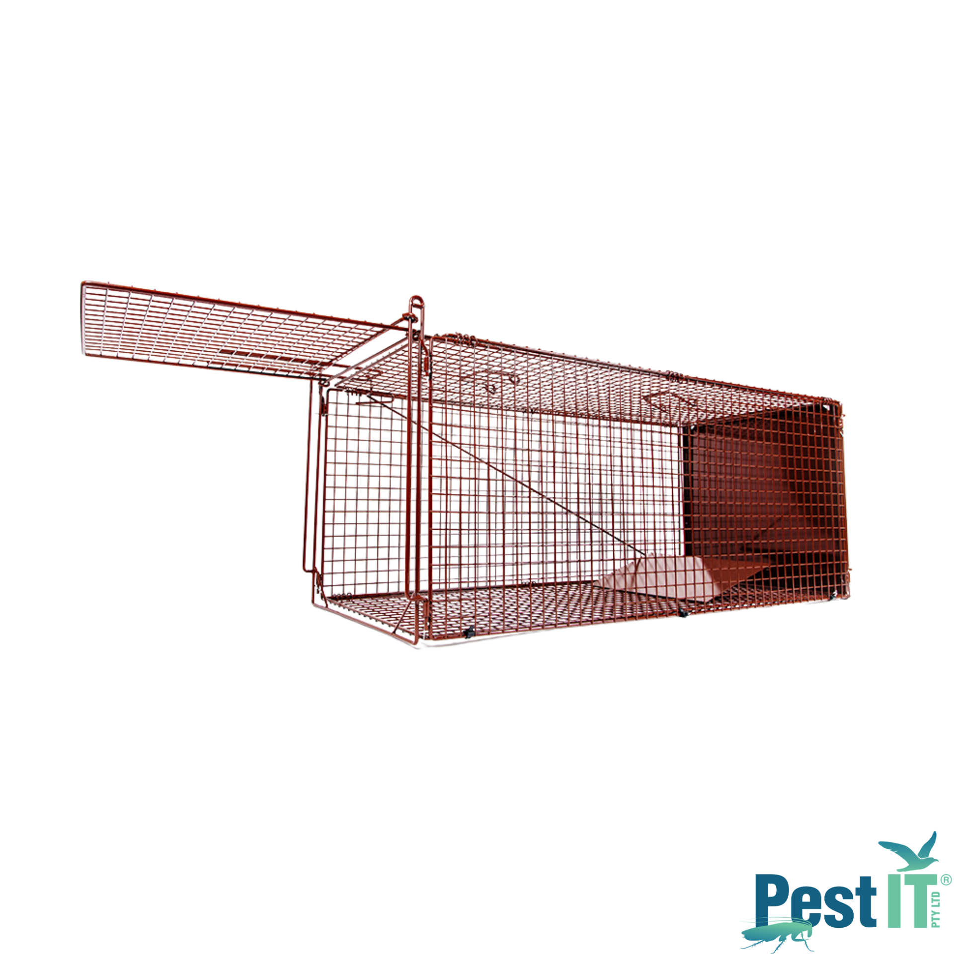 The Possum Cat Magnet Trap The Possum Magnet Trap Hero 2