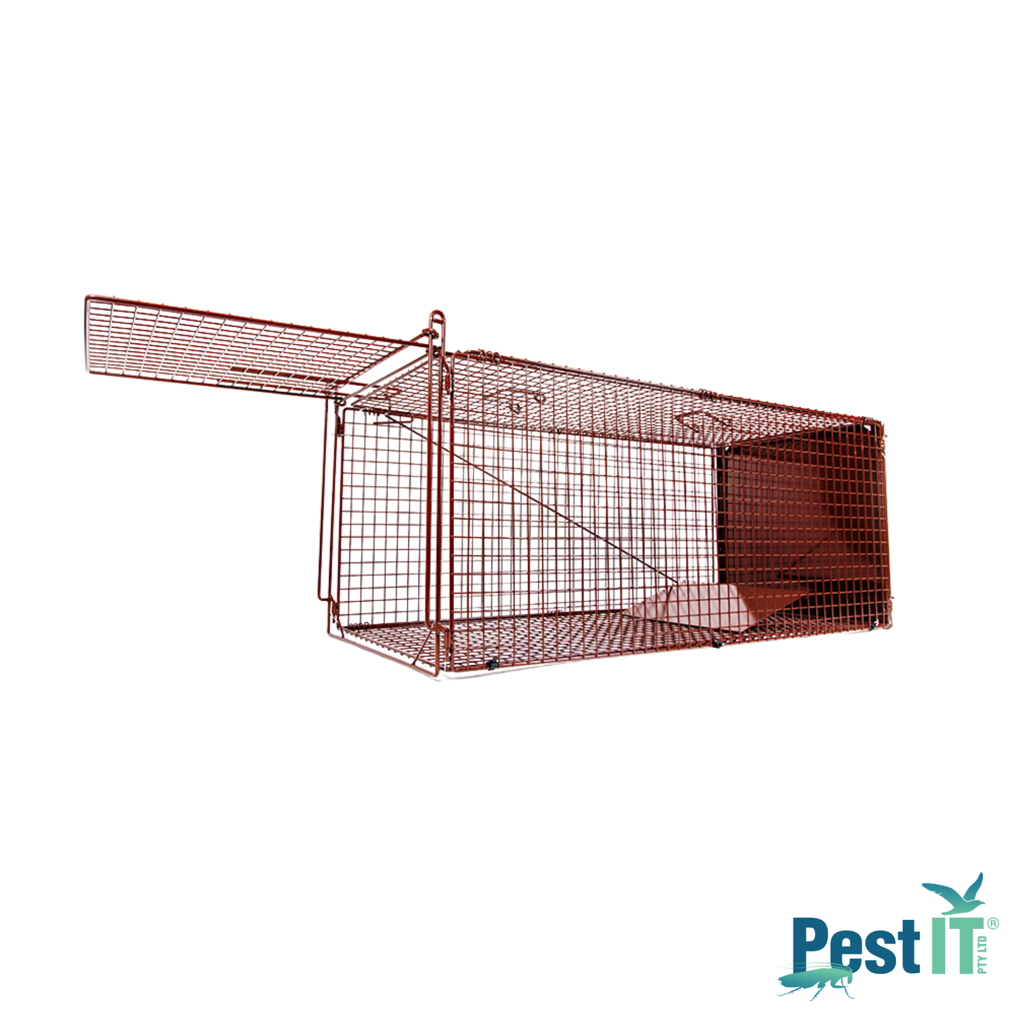 The Possum Cat Magnet Trap The Possum Magnet Trap Hero 2