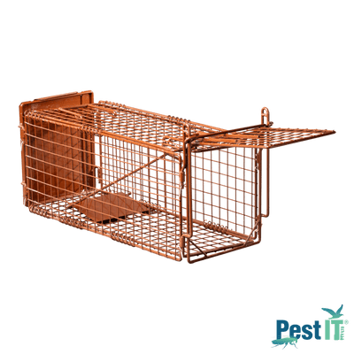 The Rabbit Magnet Trap
