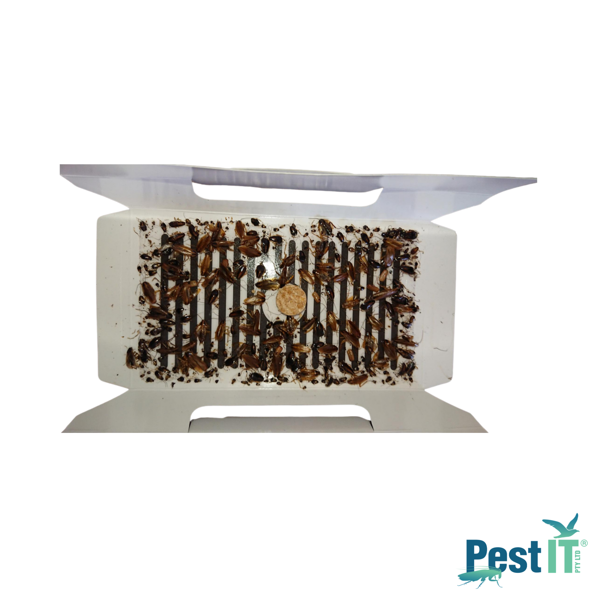 Viper Cockroach Glue Traps Angle Alt Packaging 2