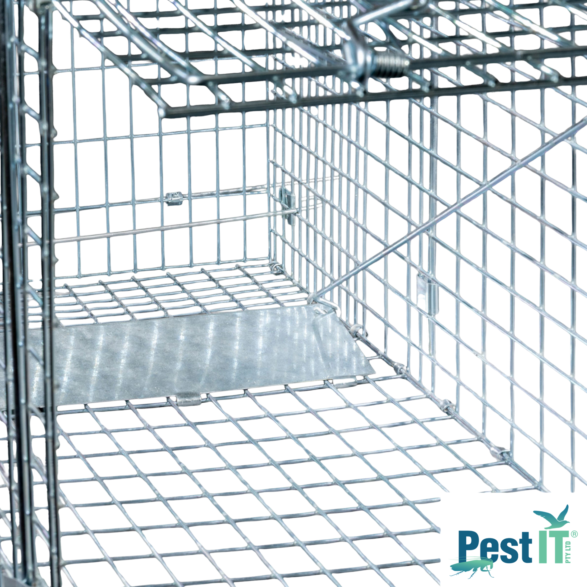 Viper Fox Trap Close Up Inside Cage