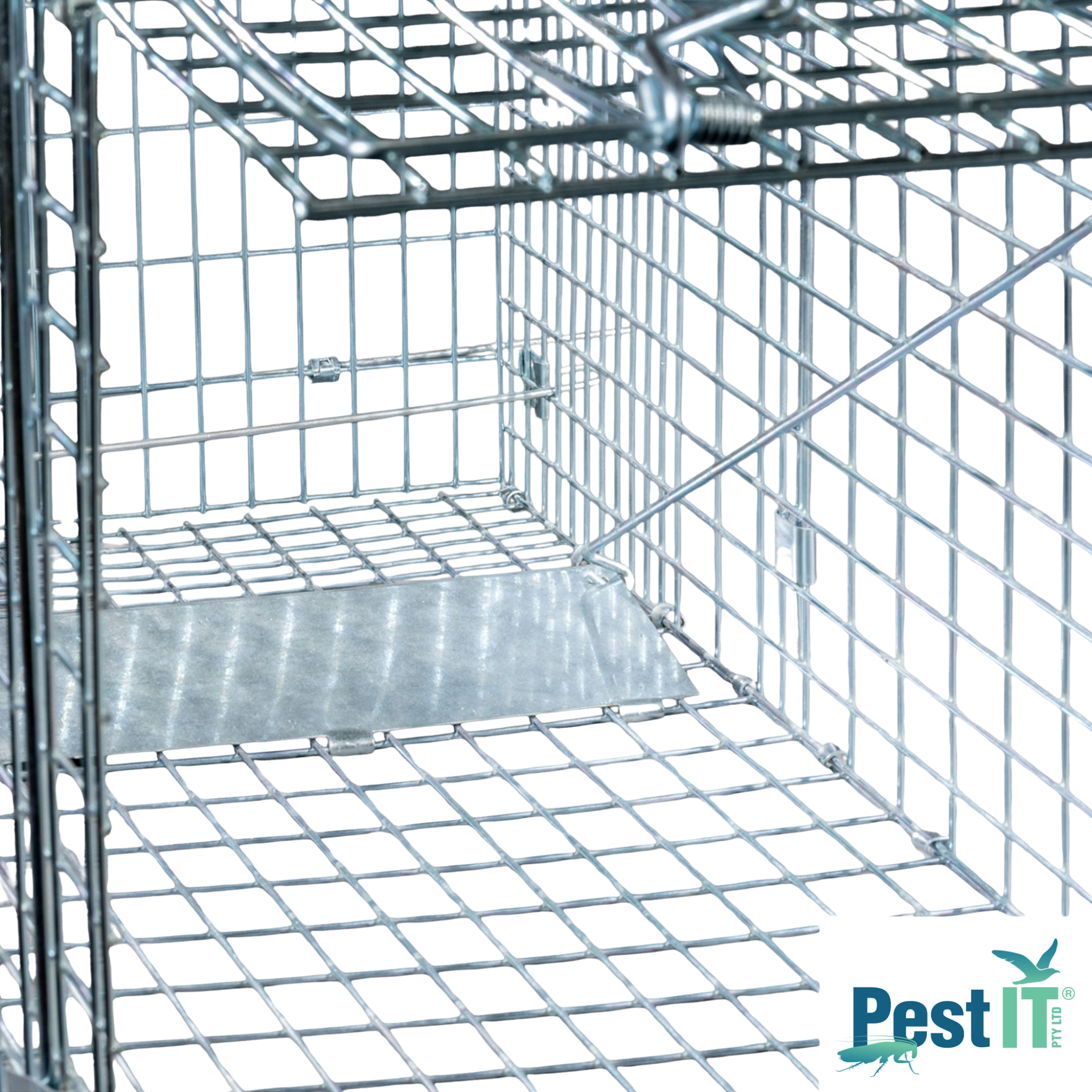 Viper Fox Trap Close Up Inside Cage