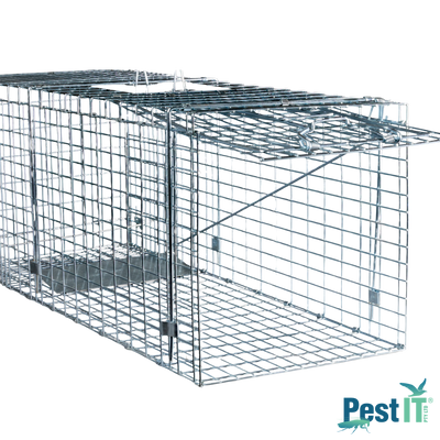 Viper Fox Trap