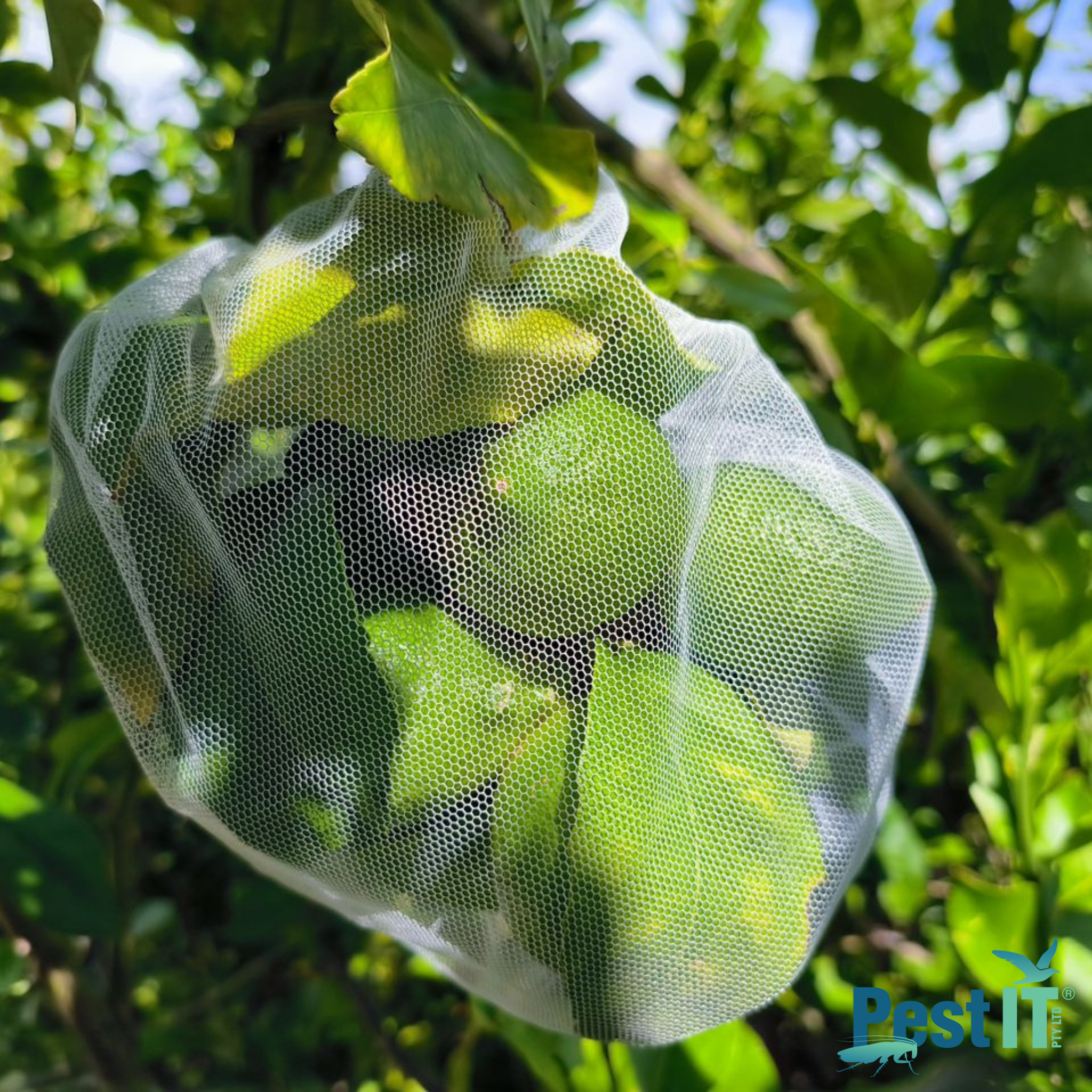 Viper Fruit Tree Net Bags Close Up 3