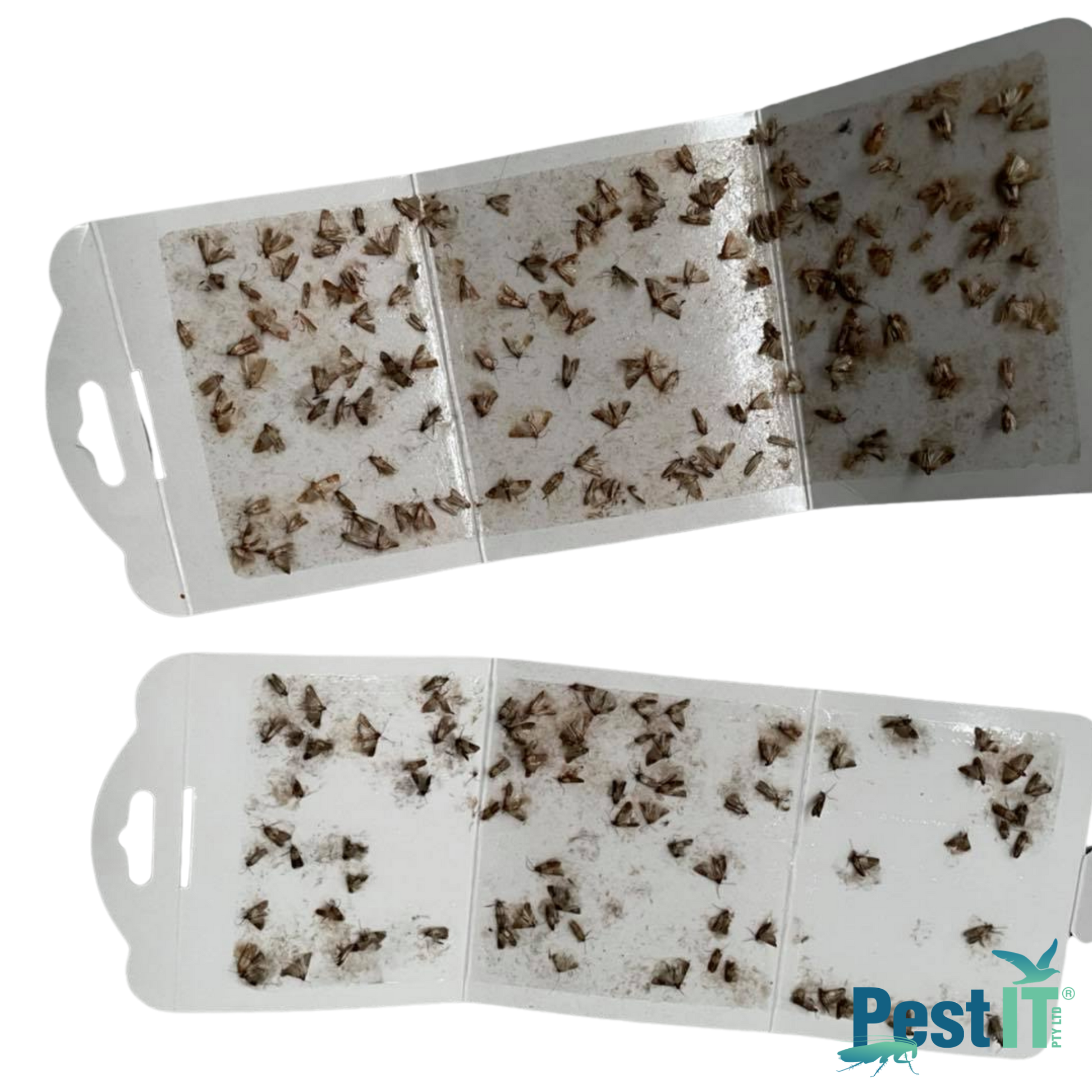 Viper Pantry Moth Trap Hero 4